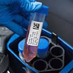 Etichetta su una provetta inserita in una centrifuga.