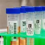 Varie provette con etichette preparate per la conservazione criogenica.