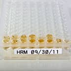 Piastra a pozzetti con etichetta bianca.