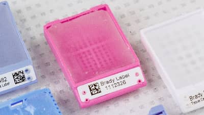 Cassetta per campioni di tessuto identificata con un’etichetta bianca.