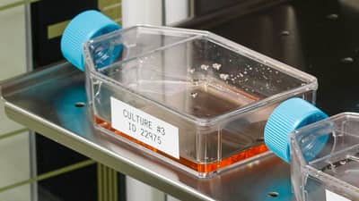 Beute con etichette resistenti alla temperatura Brady pronte per l’incubazione.