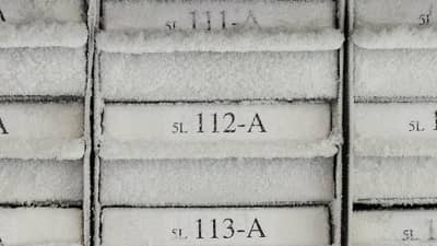 Vaschette surgelate con etichette opache FreezerBondz bianche ricoperte di brina.