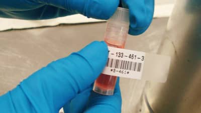 Tecnico di laboratorio che applica un’etichetta autolaminante Brady a un campione in una provetta.