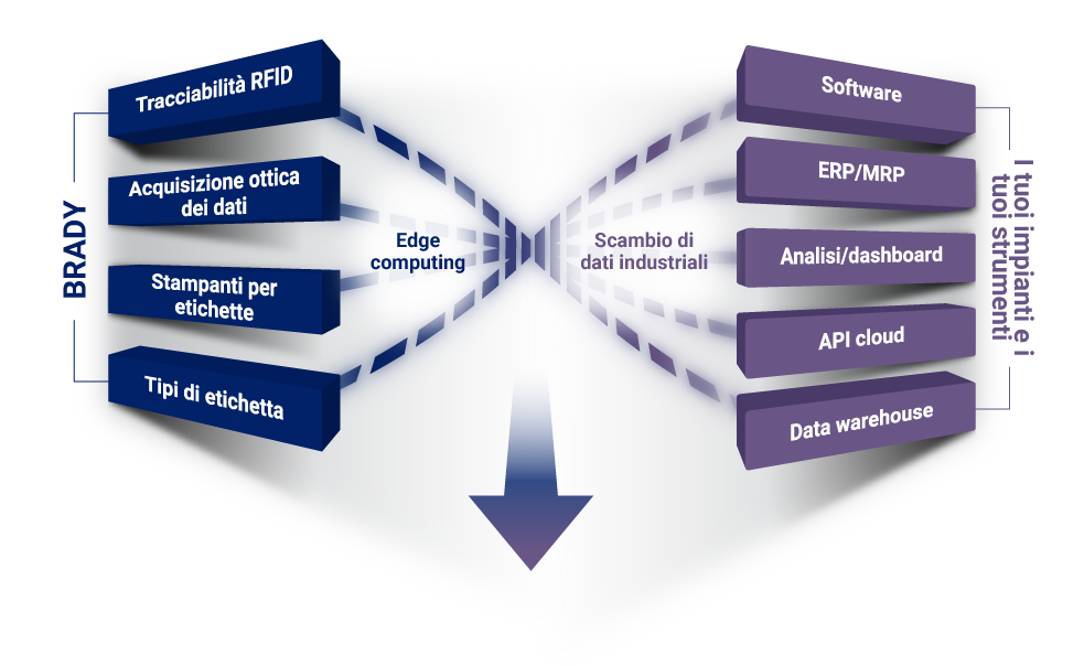 Brady, i tuoi impianti e i tuoi strumenti
